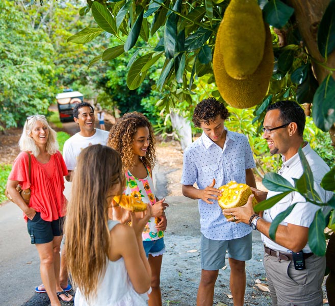 Экскурсия - Байрон Бей и тематический парк Мир Тропических фруктов